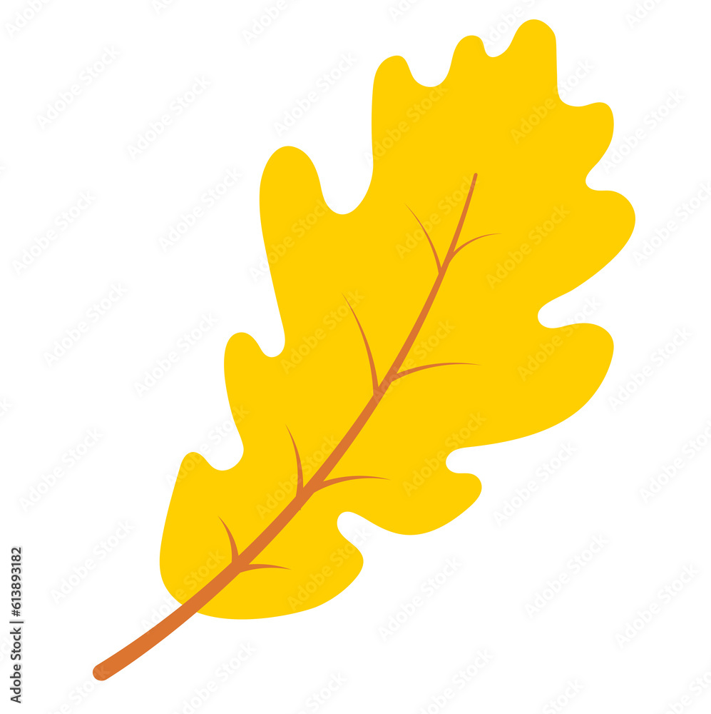 Obraz premium leaves,autumn ,fall, leaf