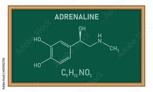 Chemical structure of Adrenaline or epinephrine (C9H13NO3). Chemical resources for teachers and students. Resources for teachers and students