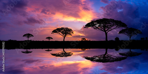 Panoramic tree silhouette in Africa with sunset reflected on water surface, tree silhouette against sun. Dark trees on open field, dramatic sunset, typical African sunset.
