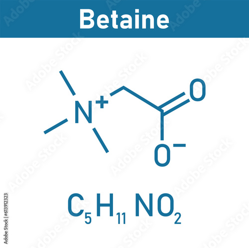 Chemical structure of Betaine (C5H11NO2). Chemical resources for teachers and students. Vector illustration. photo