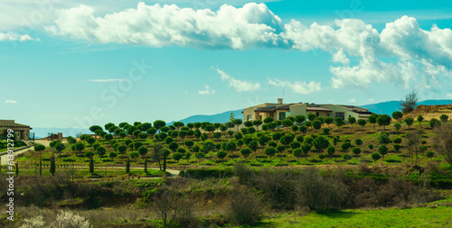 An orchard with a house in Bulgaria, Melnik