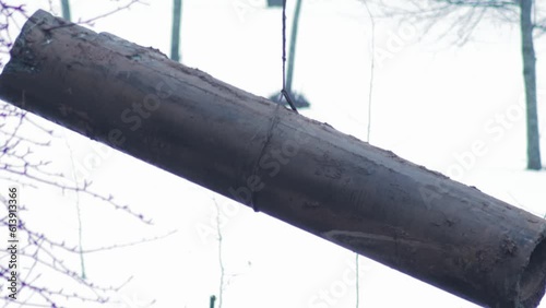 A truck crane lifts an old cast-iron pipe from the ground during a planned repair of a heating main, industry. photo