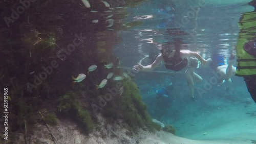 Underwater view of piraputanga fish interacting with tourists swimming in the river. Region of Nobres, MT, Brazil photo