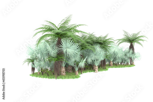 Tropical island on transparent background. 3d rendering - illustration © Cristian