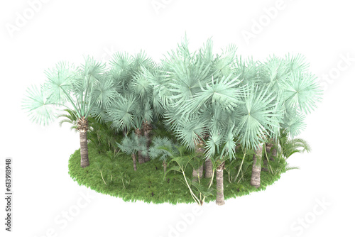 Tropical island on transparent background. 3d rendering - illustration © Cristian