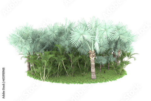 Tropical island on transparent background. 3d rendering - illustration