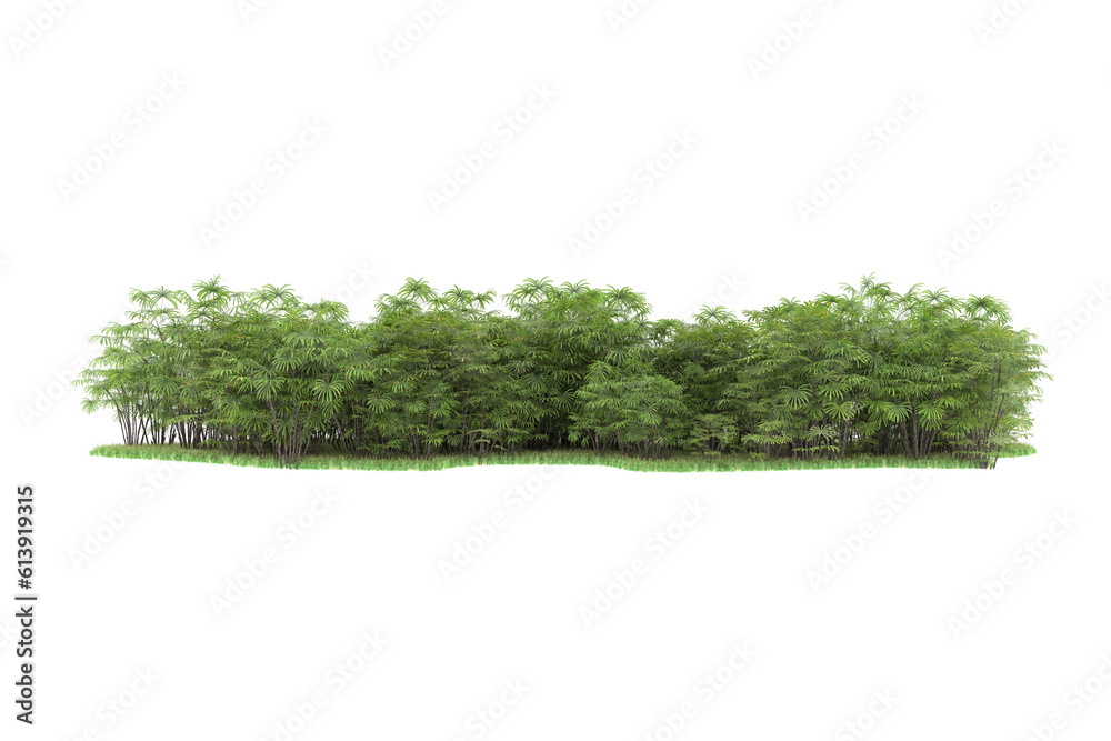 Tropical island on transparent background. 3d rendering - illustration Tropical island on transparent background. 3d rendering - illustration