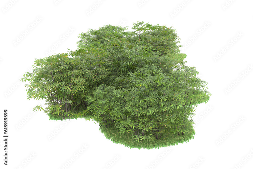 Fototapeta premium Tropical island on transparent background. 3d rendering - illustration