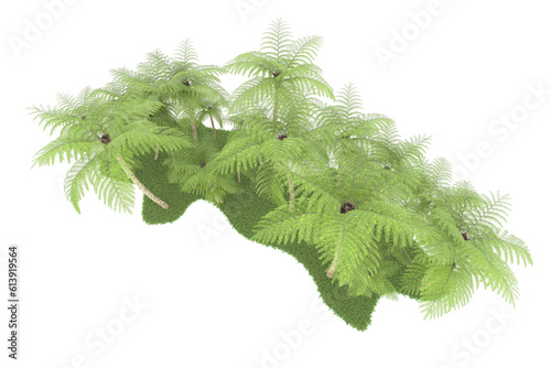 Tropical island on transparent background. 3d rendering - illustration