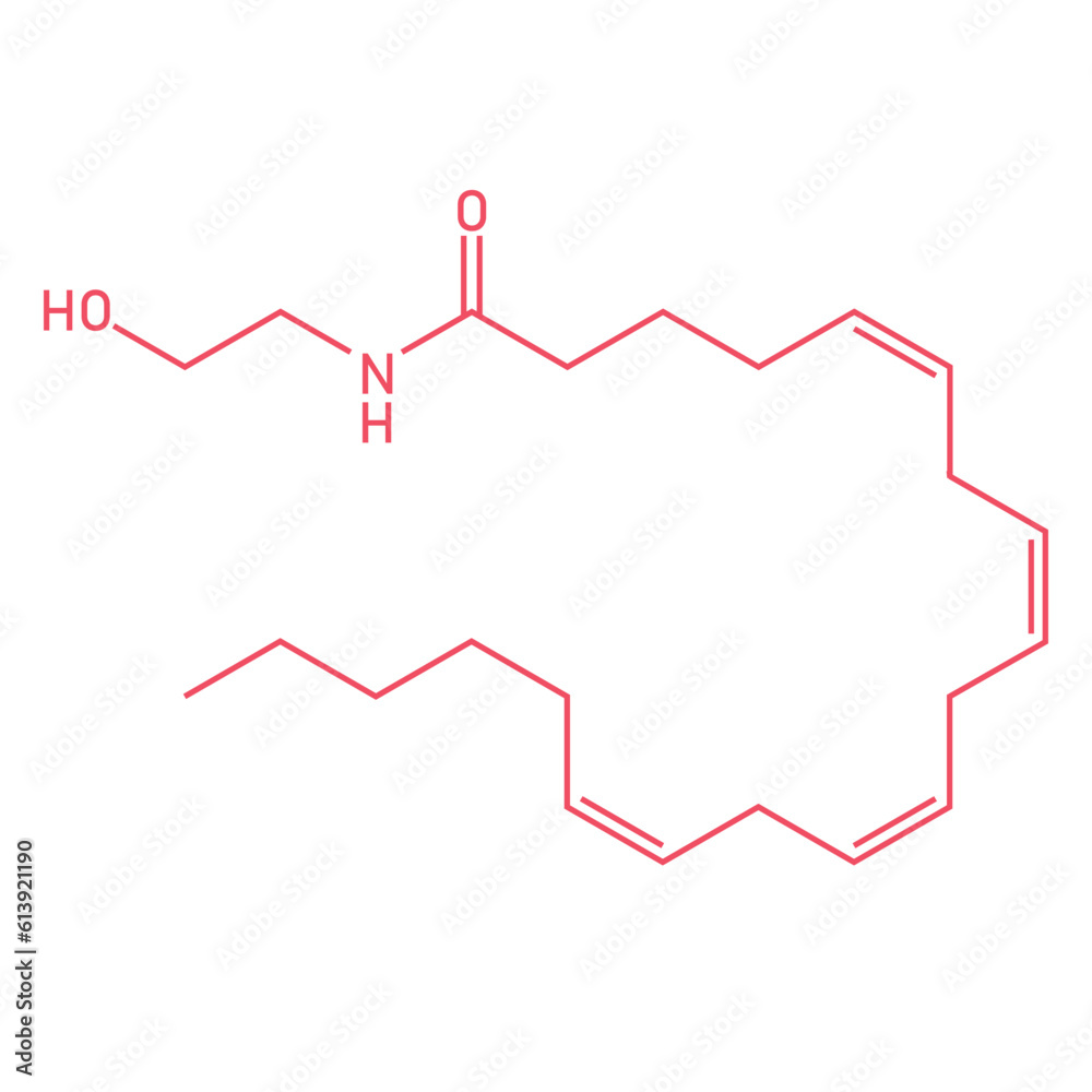 Chemical structure of Anandamide (C22H37NO2). Chemical resources for teachers and students. Vector illustration isolated on white background. Chemical structure of Anandamide (C22H37NO2). Chemical resources for teachers and students. Vector illustration isolated on white background.