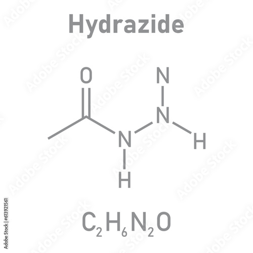 Chemical structure of Hydrazide (C2H6N2O). Chemical resources for teachers and students. Vector illustration isolated on white background. photo