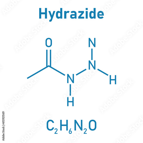 Chemical structure of Hydrazide (C2H6N2O). Chemical resources for teachers and students. Vector illustration isolated on white background.