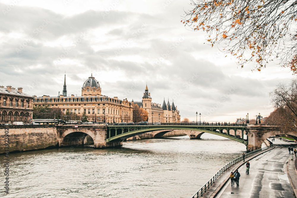 Fototapeta premium bridge over the river seine