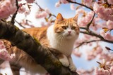 A cat perched on a branch of a cherry blossom tree