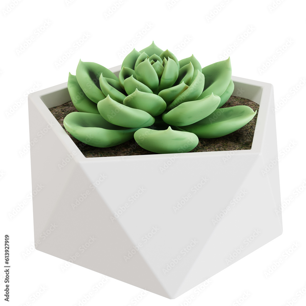 Green Succulent Plant In White Pot. Cut Out. Realistic 3D Render. Home Element. Green Succulent Plant In White Pot. Cut Out. Realistic 3D Render. Home Element.