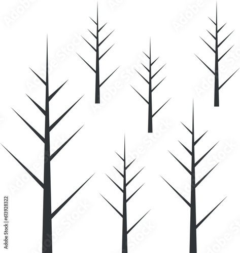 bare tree with branches