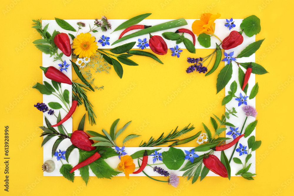 Fototapeta premium Herb spice and edible flower collection for food seasoning. Healthy organic food colorful composition with white frame on yellow background. Flat lay, copy space.