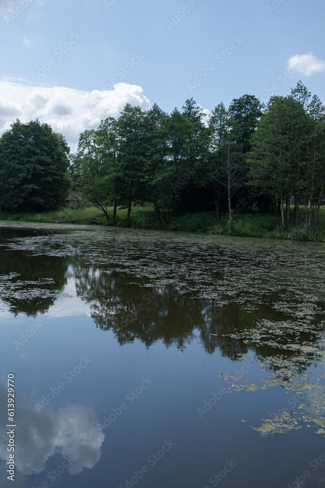 Landscape, view of the lake and the shore, green trees and water surface