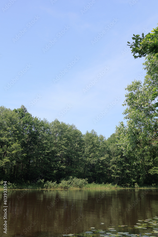 Fototapeta premium Landscape, view of the lake and the shore, green trees and water surface