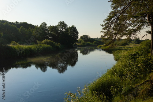 Landscape  view of the lake and the shore  green trees and water surface