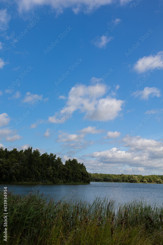 Landscape, view of the lake and the shore. Background for design