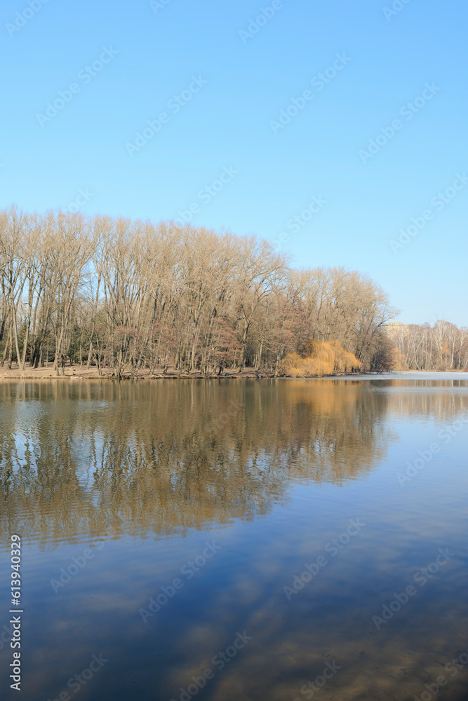 Landscape, view of the lake and the shore, green trees and water surface