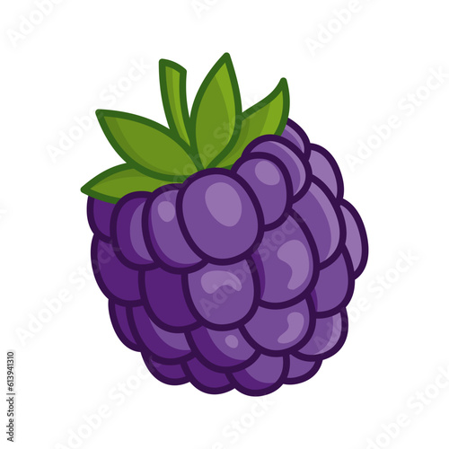Juicy blackberry berry isolated on a white background. Vector illustration of berries for design