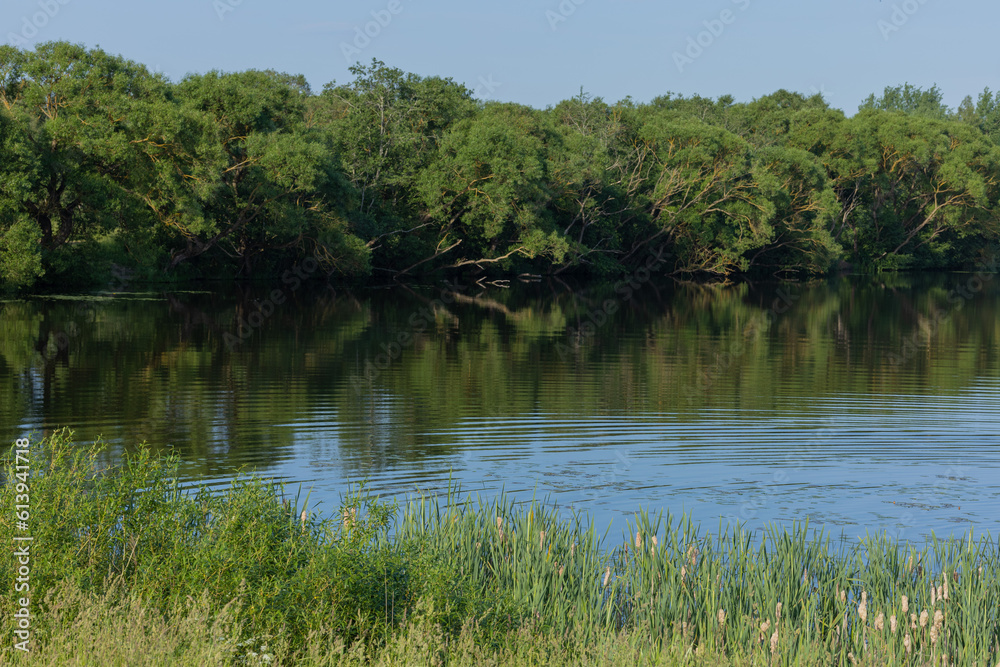 Landscape, view of the lake and the shore, green trees and water surface Landscape, view of the lake and the shore, green trees and water surface