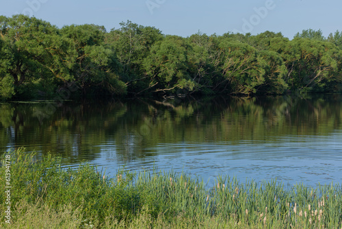 Landscape  view of the lake and the shore  green trees and water surface