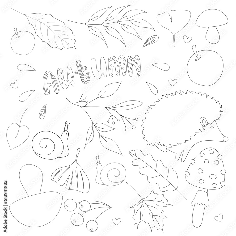 Seasonal autumn collection of forest animals and leaves in black stroke for children's books and coloring pages.
