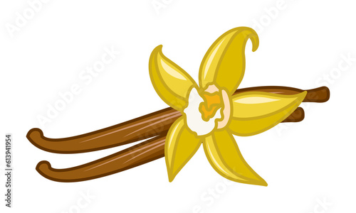 Vanilla sticks with a flower. Isolated illustration on a white background. Vector for packages.