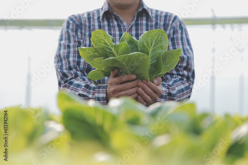 Woman gardener inspects quality of green oak lettuce in greenhouse gardening. Female Asian horticulture farmer cultivate healthy nutrition organic salad vegetables in hydroponic agribusiness farm.