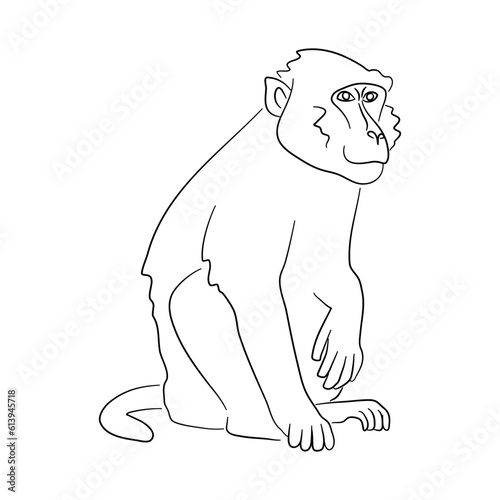 Silhouette of a Baboon made in sketch style. Vector illustration.