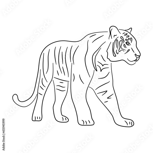 Silhouette of a Tiger made in sketch style. Vector illustration.