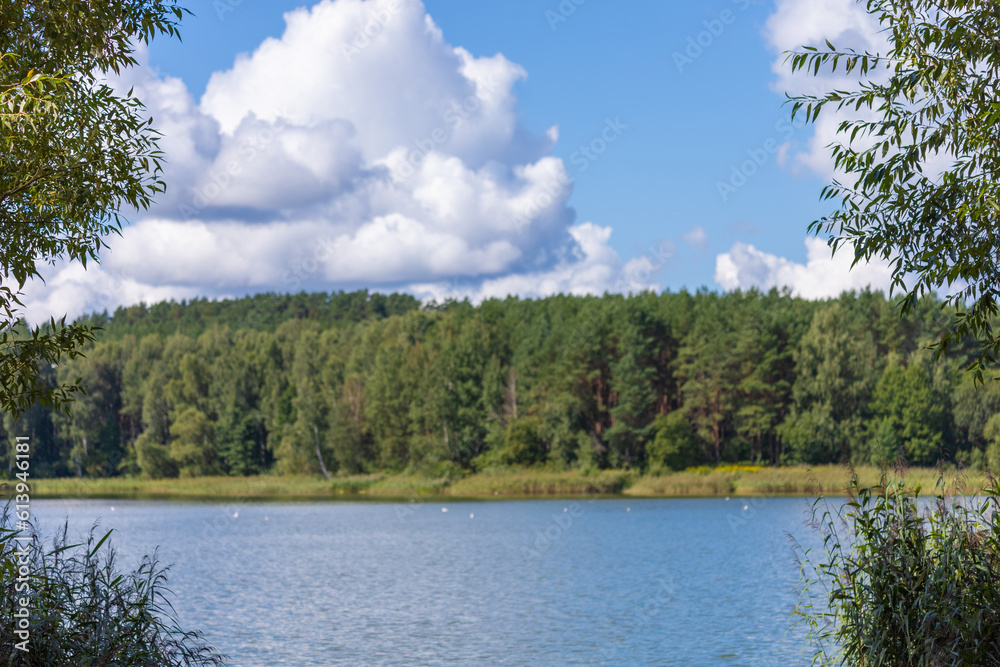 Fototapeta premium Landscape, view of the lake and the shore, green trees and water surface