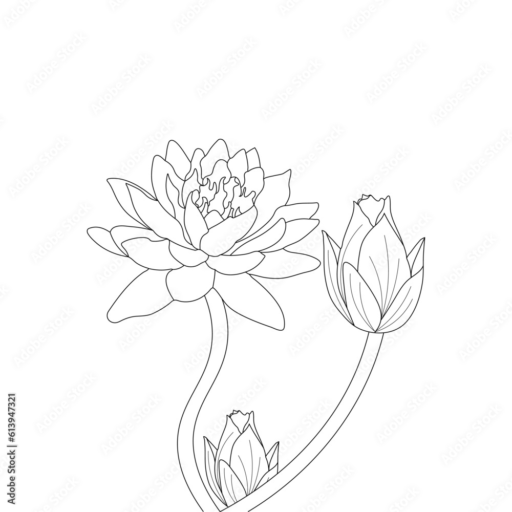 illustration of lotus flower