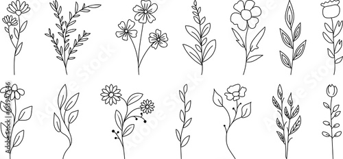 Print op canvas Set of wild flowers and leaves. PNG