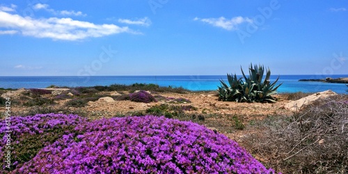 Image of Lampedusa Island nature reserve. Sicily, Italy photo