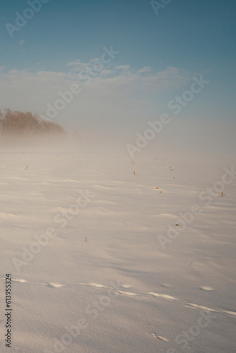 footprints in the snow