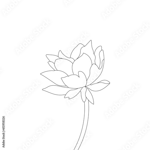 Nymphaea isolated on White Background Water lily Vector Line Art