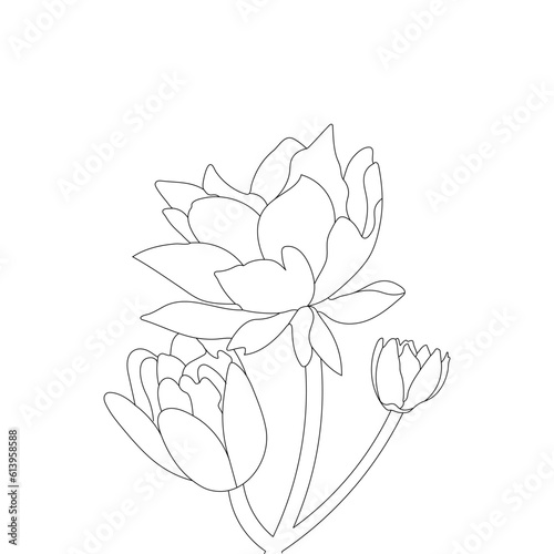Nymphaea Line Art Vector Illustration Coloring Page 