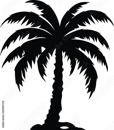 palm tree isolated image illustration