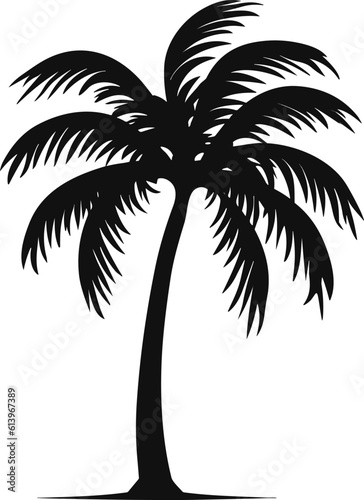 palm tree isolated image illustration © Abubakar