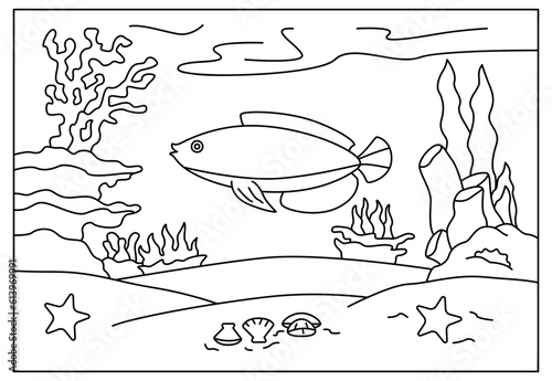 fish sea animals coloring book artists