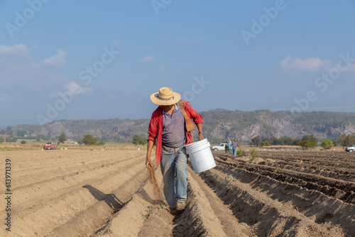Essential agricultural work: Peasant spreading farm manure in the field