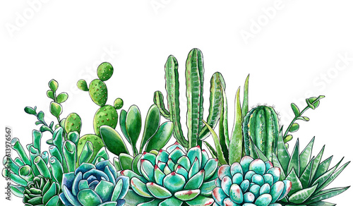 Fototapeta Naklejka Na Ścianę i Meble -  Bright composition of cacti and succulents. Watercolor hand drawn illustration of succulents. It can be used for wedding cards and invitations, mother's day cards and birthday cards.