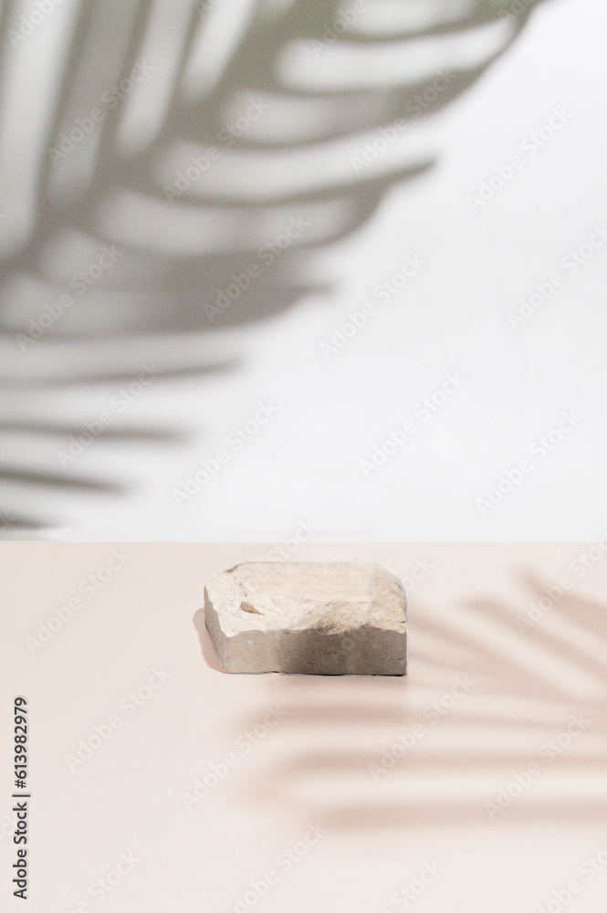 White and Pink Beige Tonal Background with Tropical Palm Leaf Shadows and Stone Slab White and Pink Beige Tonal Background with Tropical Palm Leaf Shadows and Stone Slab