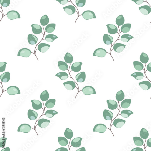 Eucaliptus pattern seamless. Gentle light green eucaliptus leaves, botanical branches repeat background © Tani Kuzminka