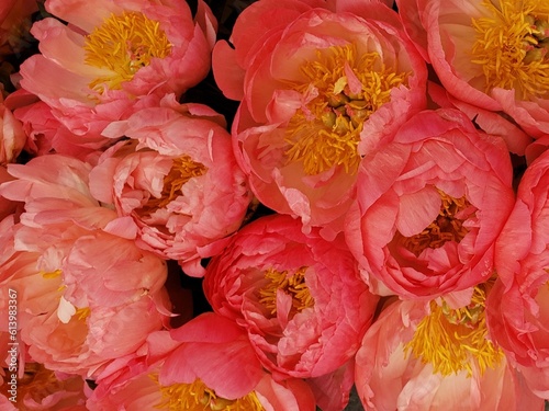 background of flowers