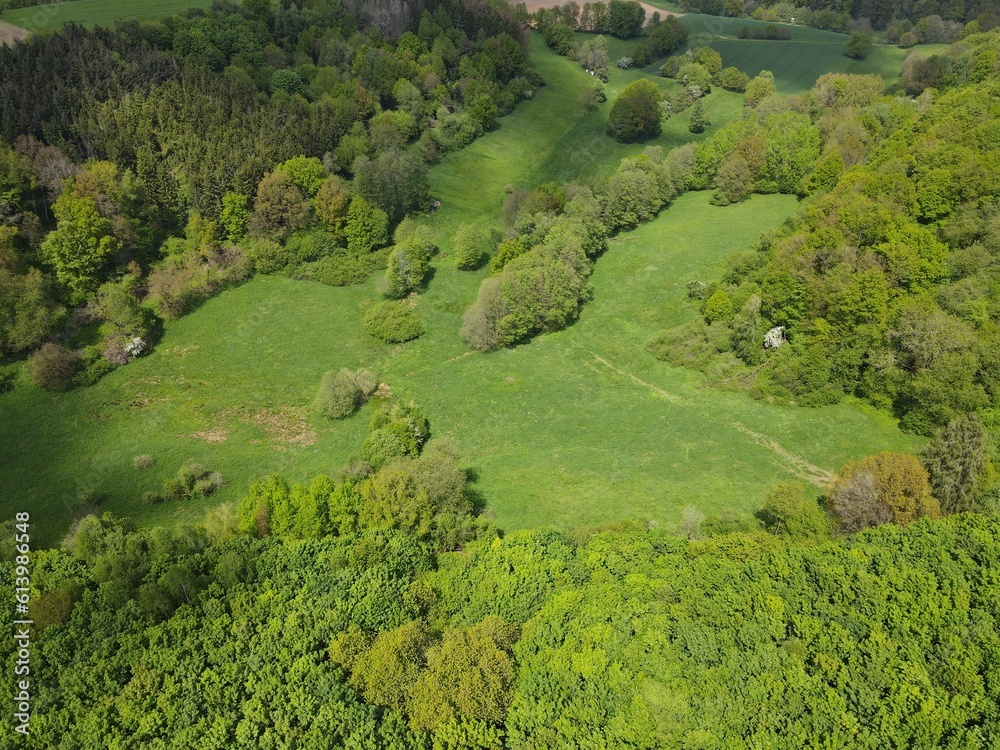 Landscape with trees and grass from above Landscape with trees and grass from above